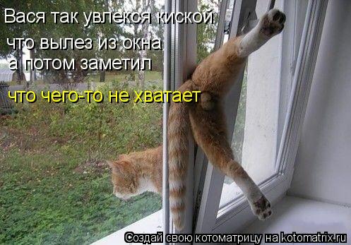 Вася так увлекся киской что вилез из окна что вылез из окна а потом заметил что чего-то не хватает... Котоматрица: Вася так увлекся киской что вилез из окна что вылез из окна а потом заметил что чего-то не хватает