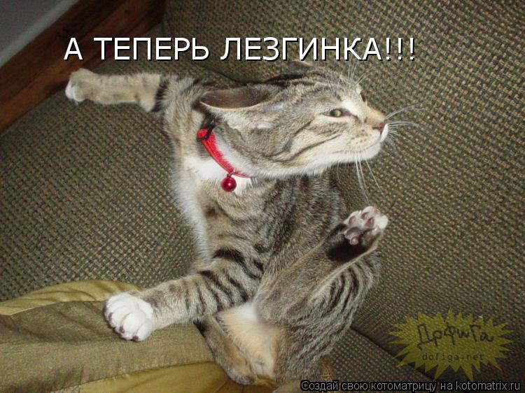 А ТЕПЕРЬ ЛЕЗГИНКА!!!... Котоматрица: А ТЕПЕРЬ ЛЕЗГИНКА!!!
