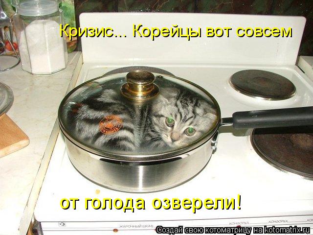 Кризис... Корейцы вот совсем от голода озверели!... Котоматрица: Кризис... Корейцы вот совсем от голода озверели!