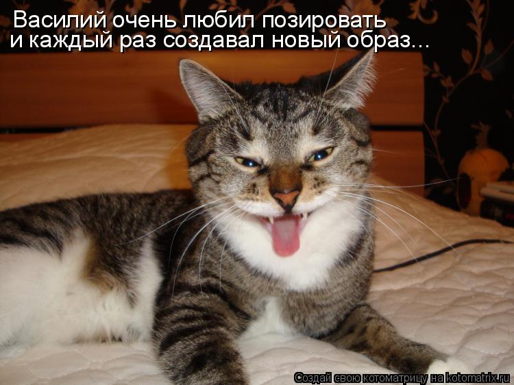 Василий очень любил позировать и каждый раз создавал новый образ...... Котоматрица: Василий очень любил позировать и каждый раз создавал новый образ...