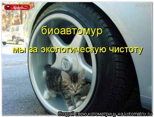 мы за экологическую чистоту биоавтомур... Котоматрица: мы за экологическую чистоту биоавтомур