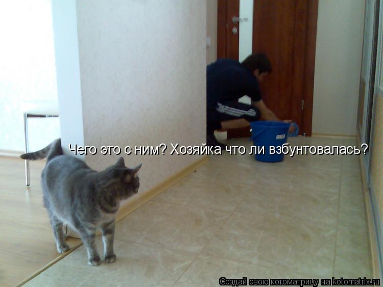 Чего это с ним? Хозяйка что ли взбунтовалась?... Котоматрица: Чего это с ним? Хозяйка что ли взбунтовалась?