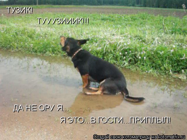 ТУЗИК! ТУУУЗИИИК!!! ДА НЕ ОРУ Я... Я ЭТО...В ГОСТИ...ПРИПЛЫЛ!... Котоматрица: ТУЗИК! ТУУУЗИИИК!!! ДА НЕ ОРУ Я... Я ЭТО...В ГОСТИ...ПРИПЛЫЛ!