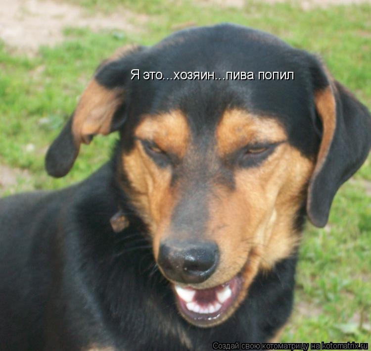 Я это...хозяин...пива попил... Котоматрица: Я это...хозяин...пива попил