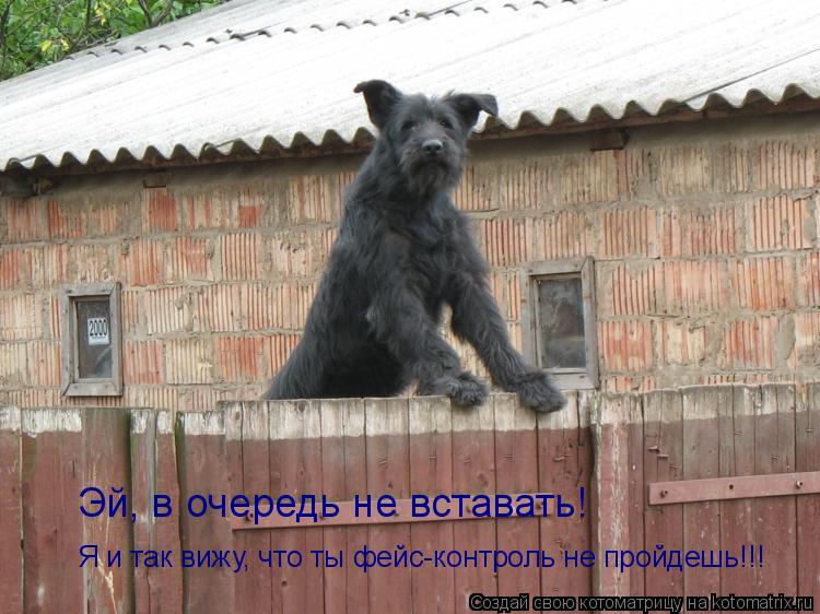 Эй, в очередь не вставать! Я и так вижу, что ты фейс-контроль не пройдешь!!!... Котоматрица: Эй, в очередь не вставать! Я и так вижу, что ты фейс-контроль не пройдешь!!!