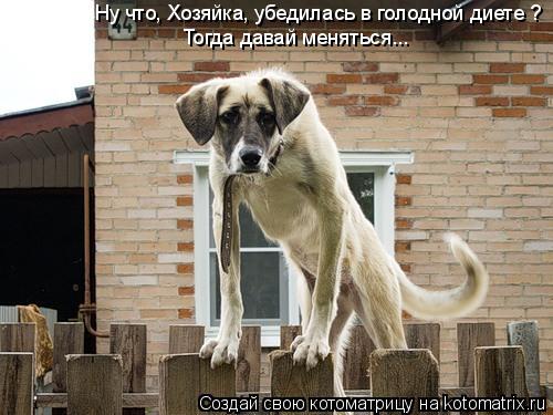 Ну что, Хозяйка, убедилась в голодной диете ? Тогда давай меняться...... Котоматрица: Ну что, Хозяйка, убедилась в голодной диете ? Тогда давай меняться...