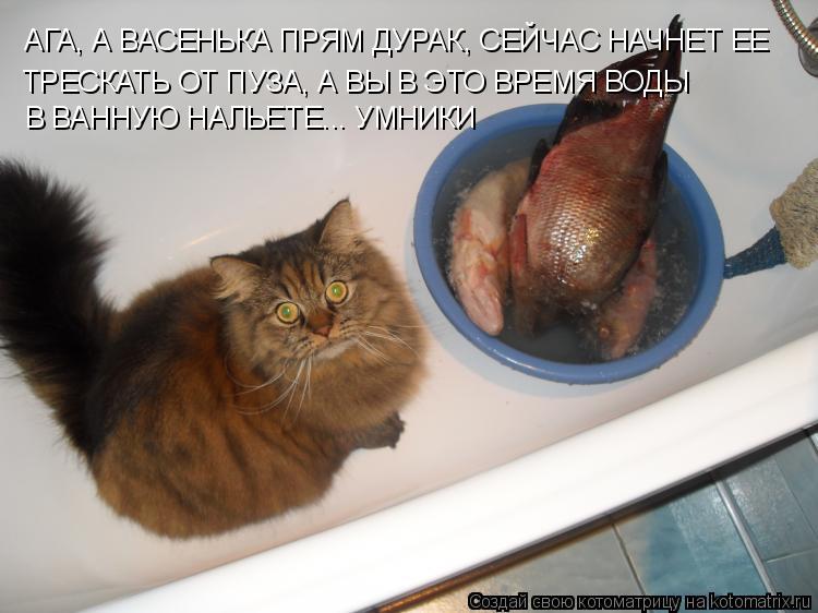 ТРЕСКАТЬ ОТ ПУЗА, А ВЫ В ЭТО ВРЕМЯ ВОДЫ АГА, А ВАСЕНЬКА ПРЯМ ДУРАК, СЕЙЧАС НАЧНЕТ ЕЕ В ВАННУЮ НАЛЬЕТЕ... Котоматрица: ТРЕСКАТЬ ОТ ПУЗА, А ВЫ В ЭТО ВРЕМЯ ВОДЫ АГА, А ВАСЕНЬКА ПРЯМ ДУРАК, СЕЙЧАС НАЧНЕТ ЕЕ В ВАННУЮ НАЛЬЕТЕ... УМНИКИ