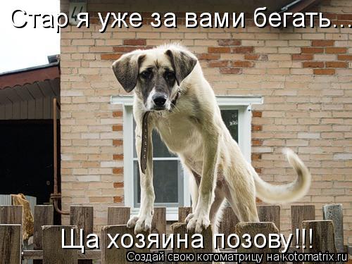 Котоматрица: Стар я уже за вами бегать... Ща хозяина позову!!!