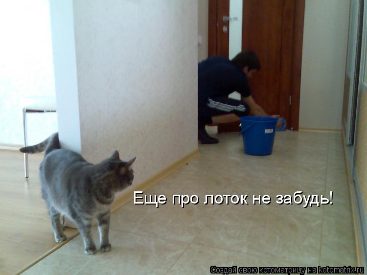Еще про лоток не забудь!... Котоматрица: Еще про лоток не забудь!