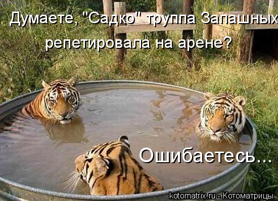 Ошибаетесь... Думаете, "Садко" труппа Запашных репетировала на арене?... Котоматрица: Ошибаетесь... Думаете, "Садко" труппа Запашных репетировала на арене?