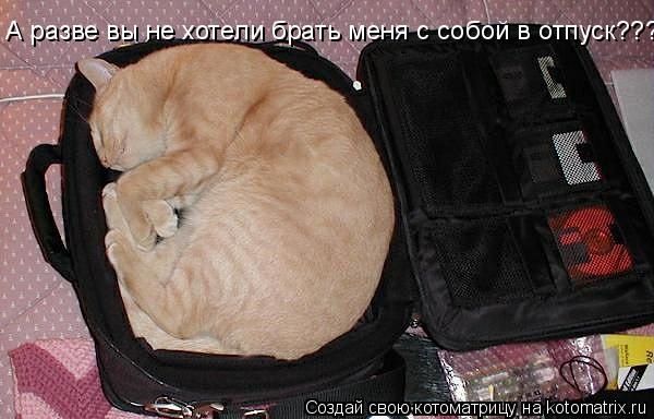 А разве вы не хотели брать меня с собой в отпуск???... Котоматрица: А разве вы не хотели брать меня с собой в отпуск???