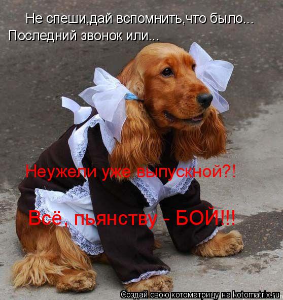 Не спеши,дай вспомнить,что было... Последний звонок или... Неужели уже выпускной?! Всё, пьянству - БО... Котоматрица: Не спеши,дай вспомнить,что было... Последний звонок или... Неужели уже выпускной?! Всё, пьянству - БОЙ!!!