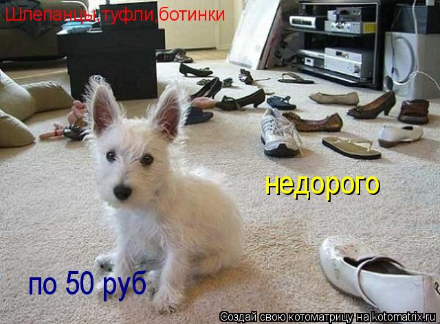 Шлепанцы,туфли,ботинки недорого по 50 руб... Котоматрица: Шлепанцы,туфли,ботинки недорого по 50 руб