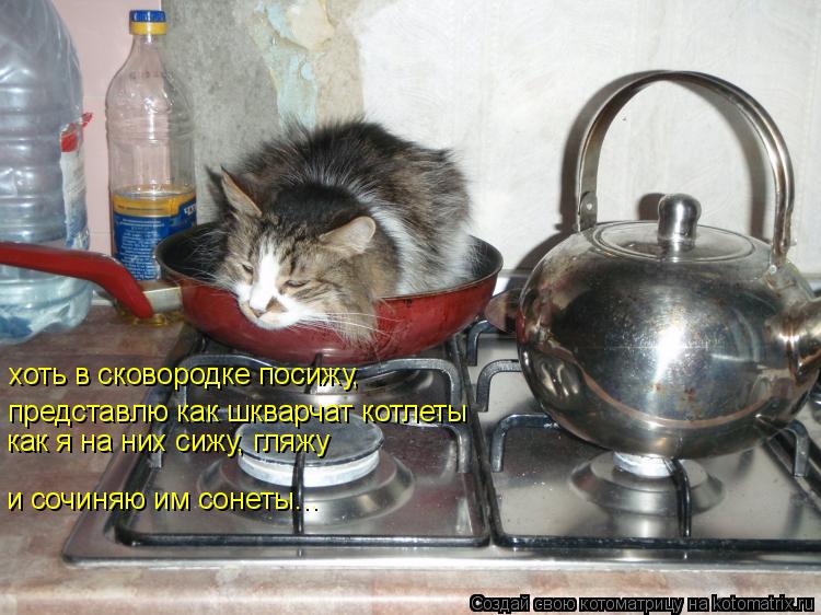 представлю как шкварчат котлеты хоть в сковородке посижу, как я на них сижу, гляжу и сочиняю им соне... Котоматрица: представлю как шкварчат котлеты хоть в сковородке посижу, как я на них сижу, гляжу и сочиняю им сонеты...