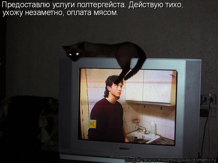 Предоставлю услуги полтергейста. Действую тихо, ухожу незаметно, оплата мясом.... Котоматрица: Предоставлю услуги полтергейста. Действую тихо, ухожу незаметно, оплата мясом.