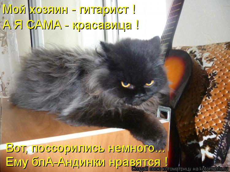 Мой хозяин - гитарист ! А Я САМА - красавица ! Вот, поссорились немного... Ему блА-Андинки нравятся !... Котоматрица: Мой хозяин - гитарист ! А Я САМА - красавица ! Вот, поссорились немного... Ему блА-Андинки нравятся !