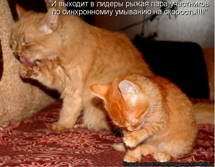 "И выходит в лидеры рыжая пара участников по синхронномиу умыванию на скорость!!!!"... Котоматрица: "И выходит в лидеры рыжая пара участников по синхронномиу умыванию на скорость!!!!"
