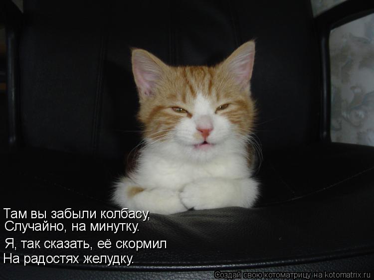 Там вы забыли колбасу, Случайно, на минутку. Я, так сказать, её скормил На радостях желудку.... Котоматрица: Там вы забыли колбасу, Случайно, на минутку. Я, так сказать, её скормил На радостях желудку.