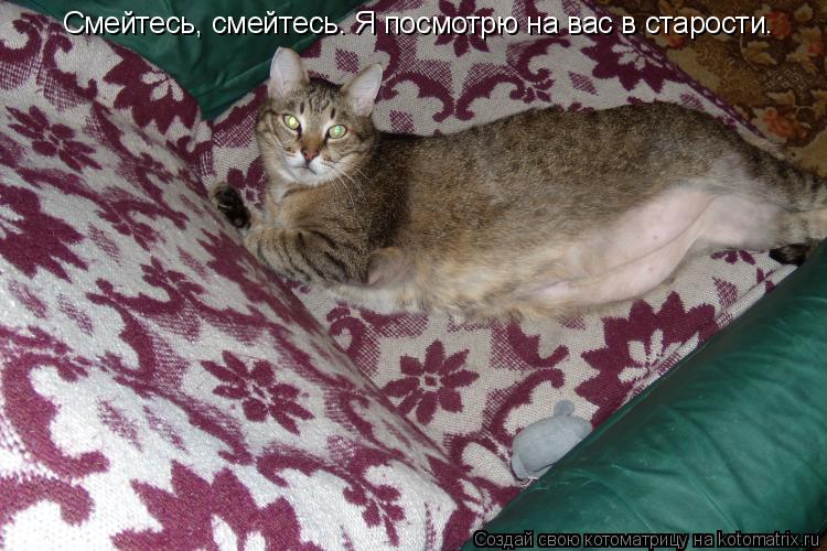Смейтесь, смейтесь. Я посмотрю на вас в старости.... Котоматрица: Смейтесь, смейтесь. Я посмотрю на вас в старости.