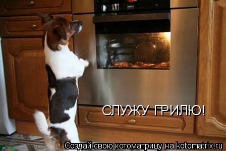 СЛУЖУ ГРИЛЮ!... Котоматрица: СЛУЖУ ГРИЛЮ!