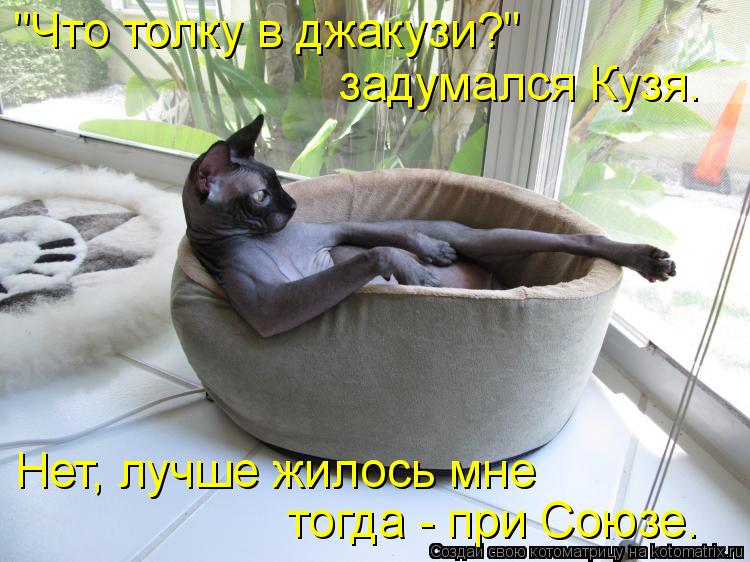 "Что толку в джакузи?" Нет, лучше жилось мне тогда - при Союзе. задумался Кузя.... Котоматрица: "Что толку в джакузи?" Нет, лучше жилось мне тогда - при Союзе. задумался Кузя.