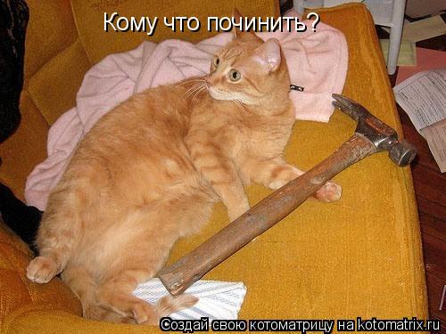 Кому что починить?... Котоматрица: Кому что починить?