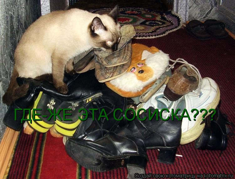 ГДЕ-ЖЕ ЭТА СОСИСКА???... Котоматрица: ГДЕ-ЖЕ ЭТА СОСИСКА???