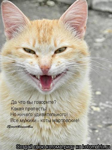 Да что вы говорите? Какая прелесть! Но ничего удивительного! Все мужики - коты мартовские!... Котоматрица: Да что вы говорите? Какая прелесть! Но ничего удивительного! Все мужики - коты мартовские!
