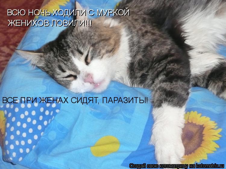 ВСЮ НОЧЬ ХОДИЛИ С МУРКОЙ ЖЕНИХОВ ЛОВИЛИ!!! ВСЕ ПРИ ЖЕНАХ СИДЯТ, ПАРАЗИТЫ!... Котоматрица: ВСЮ НОЧЬ ХОДИЛИ С МУРКОЙ ЖЕНИХОВ ЛОВИЛИ!!! ВСЕ ПРИ ЖЕНАХ СИДЯТ, ПАРАЗИТЫ!