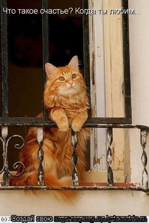 Что такое счастье? Когда ты любим...... Котоматрица: Что такое счастье? Когда ты любим...