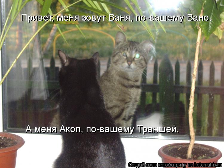 Привет, меня зовут Ваня, по-вашему Вано. А меня Акоп, по-вашему Траншей.... Котоматрица: Привет, меня зовут Ваня, по-вашему Вано. А меня Акоп, по-вашему Траншей.