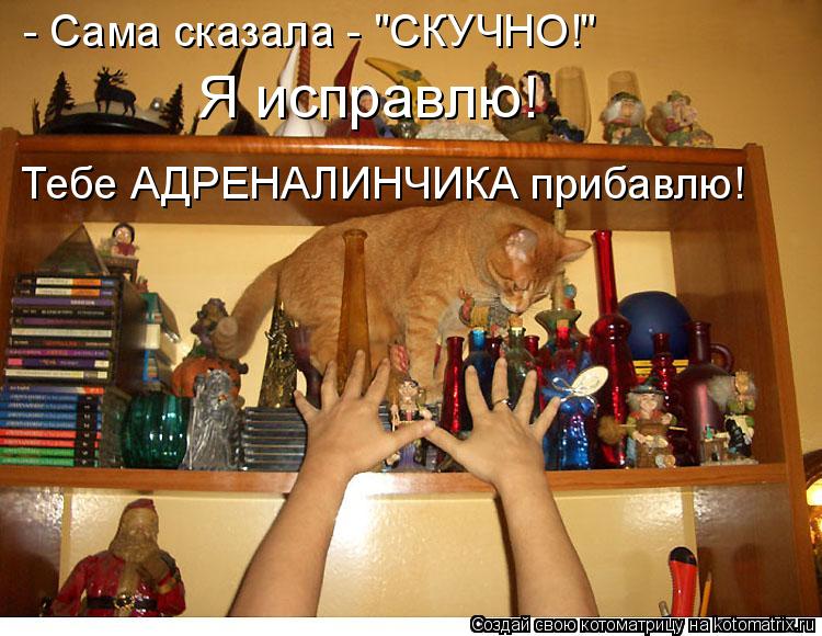 Котоматрица: Тебе АДРЕНАЛИНЧИКА прибавлю! - Сама сказала - "СКУЧНО!" Я исправлю!