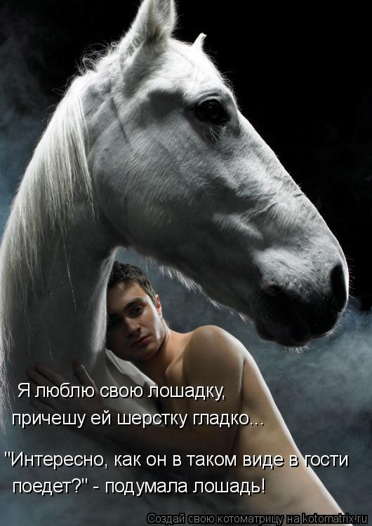 Я люблю свою лошадку, причешу ей шерстку гладко... "Интересно, как он в таком виде в гости поедет?"... Котоматрица: Я люблю свою лошадку, причешу ей шерстку гладко... "Интересно, как он в таком виде в гости поедет?" - подумала лошадь!