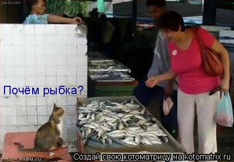 Почём рыбка?... Котоматрица: Почём рыбка?