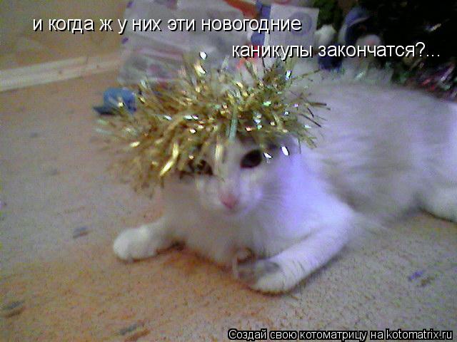 и когда ж у них эти новогодние каникулы закончатся?...... Котоматрица: и когда ж у них эти новогодние каникулы закончатся?...