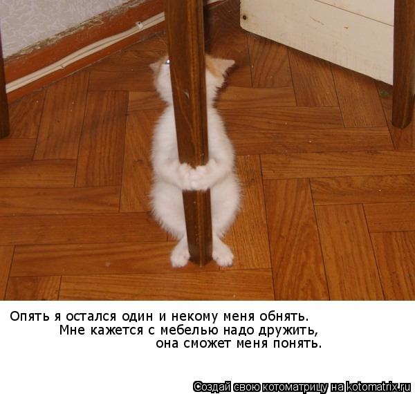 Опять я остался один и некому меня обнять. Мне кажется с мебелью надо дружить, она сможет меня понять... Котоматрица: Опять я остался один и некому меня обнять. Мне кажется с мебелью надо дружить, она сможет меня понять.