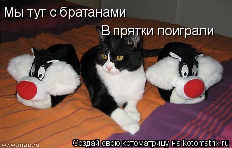 Мы тут с братанами В прятки поиграли... Котоматрица: Мы тут с братанами В прятки поиграли
