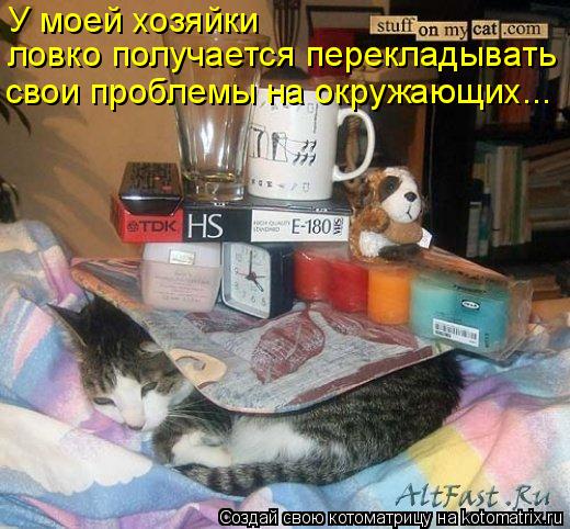 Котоматрица: У моей хозяйки ловко получается перекладывать свои проблемы на окружающих...