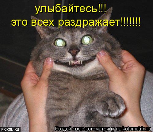 улыбайтесь!!! это всех раздражает!!!!!!!... Котоматрица: улыбайтесь!!! это всех раздражает!!!!!!!