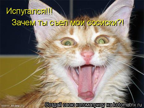 Испугался!!! Зачем ты съел мои сосиски?!... Котоматрица: Испугался!!! Зачем ты съел мои сосиски?!