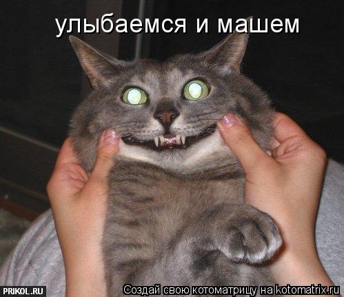 улыбаемся и машем... Котоматрица: улыбаемся и машем