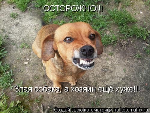 ОСТОРОЖНО!!! Злая собака, а хозяин ещё хуже!!!... Котоматрица: ОСТОРОЖНО!!! Злая собака, а хозяин ещё хуже!!!