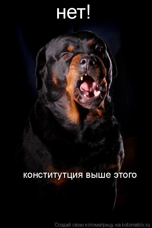 нет! конститутция выше этого... Котоматрица: нет! конститутция выше этого