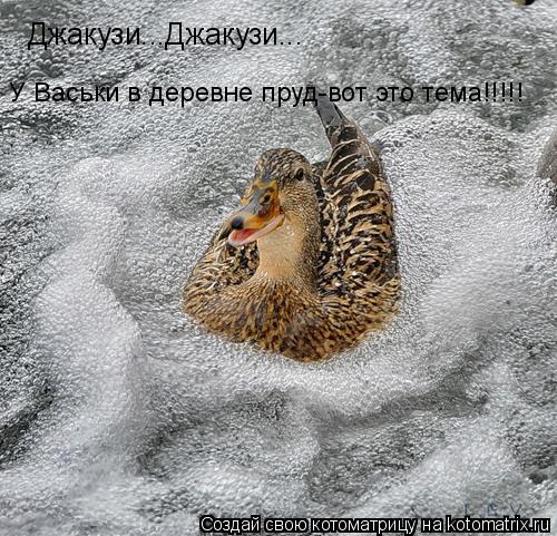 Джакузи...Джакузи... У Васьки в деревне пруд-вот это тема!!!!!... Котоматрица: Джакузи...Джакузи... У Васьки в деревне пруд-вот это тема!!!!!