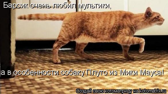 Барсик очень любил мультики, а в особенности собаку Плуто из Мики Мауса!... Котоматрица: Барсик очень любил мультики, а в особенности собаку Плуто из Мики Мауса!