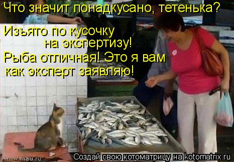 Что значит понадкусано, тетенька? Изъято по кусочку на экспертизу! Рыба отличная! Это я вам как экспе... Котоматрица: Что значит понадкусано, тетенька? Изъято по кусочку на экспертизу! Рыба отличная! Это я вам как эксперт заявляю!