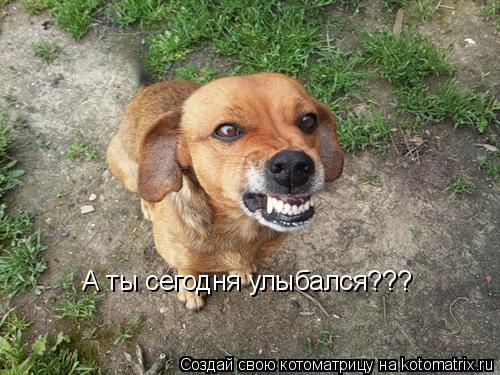 Котоматрица: А ты сегодня улыбался???