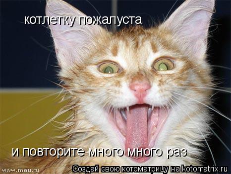 Котоматрица: котлетку пожалуста и повторите много много раз