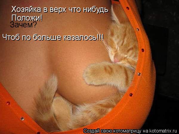 Хозяйка в верх что нибудь Положи! Зачем? Чтоб по больше казалось!!!... Котоматрица: Хозяйка в верх что нибудь Положи! Зачем? Чтоб по больше казалось!!!