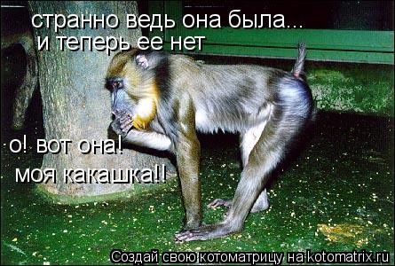 странно ведь она была... и теперь ее нет о! вот она! моя какашка!!... Котоматрица: странно ведь она была... и теперь ее нет о! вот она! моя какашка!!